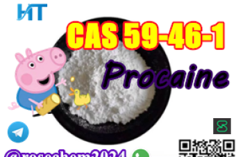 8615355326496 Big Sale Procaine CAS 59461 Samples available